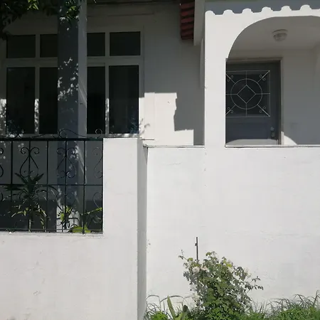 Oriente Dna Studios-2